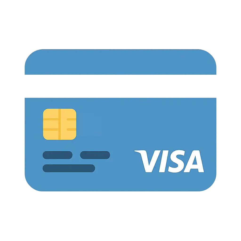 Visa payment icon